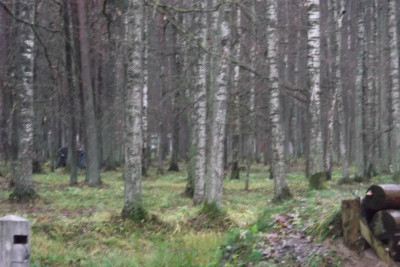 DSCF2037.JPG
