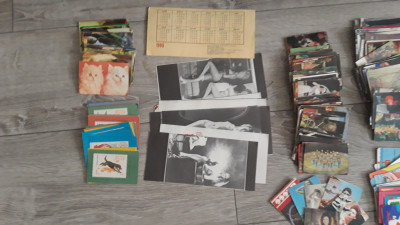 20241120_104739.jpg
