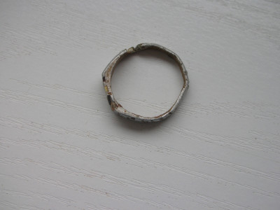 DSCN8795.JPG