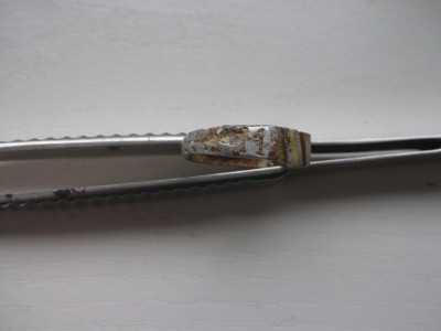 DSCN8793.JPG