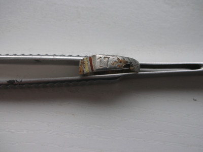 DSCN8794.JPG