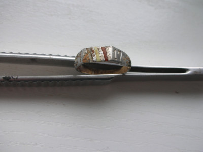 DSCN8792.JPG