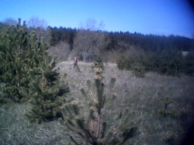 IMG0075A.jpg
