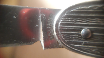 20241009_102942.jpg