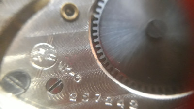 20241211_092209.jpg