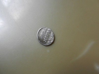 DSCN2391.JPG