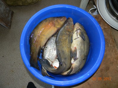 DSCN1884.JPG