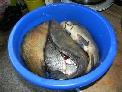 DSCN1885.JPG