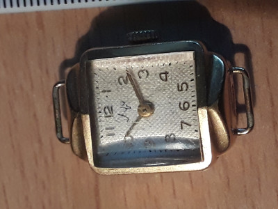 20250221_095348.jpg
