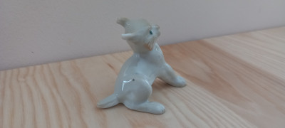 20250408_131534.jpg
