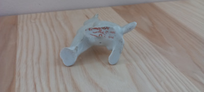 20250408_131552.jpg