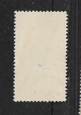 7b - kopija (5).jpg