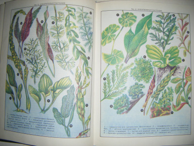DSCF3839.JPG
