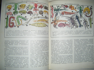 DSCF3840.JPG
