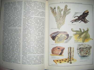 DSCF3841.JPG