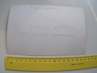 P1010536.JPG