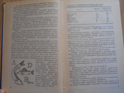 DSCN4720.JPG