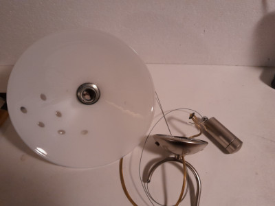 20250412_125206.jpg
