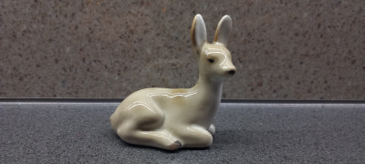 20250414_155027.jpg