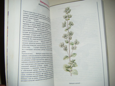 DSCF4037.JPG