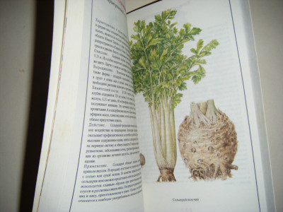 DSCF4040.JPG