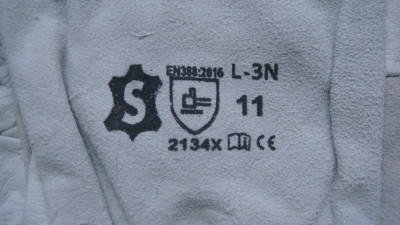 DSC06147.JPG