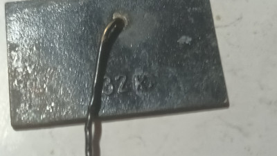 20250331_125606.jpg