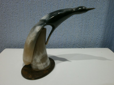 P4200018.JPG