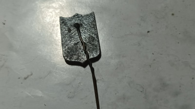 20250423_101959.jpg