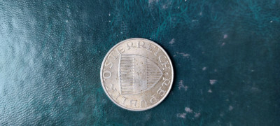 20250423_101246.jpg