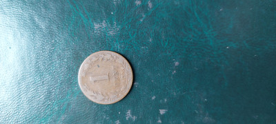 20250423_101356.jpg