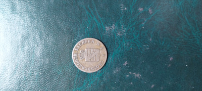 20250423_101822.jpg