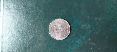 20250423_102031.jpg
