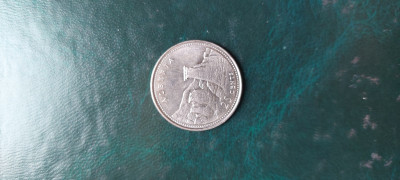 20250423_102205.jpg