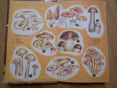 DSCN0593.JPG