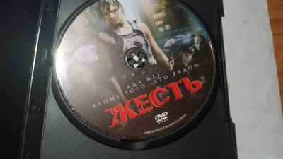 20250424_120219.jpg