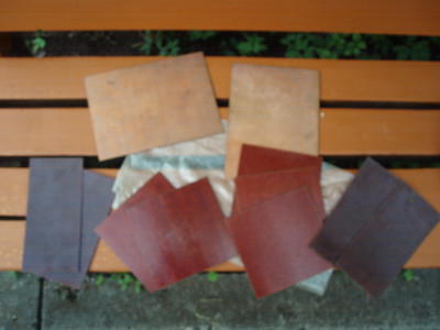 P1011441.JPG
