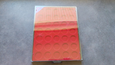 20250323_144024.jpg