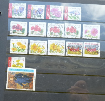 106.JPG