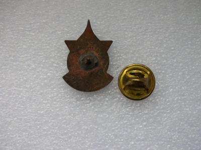 DSCN0522.JPG