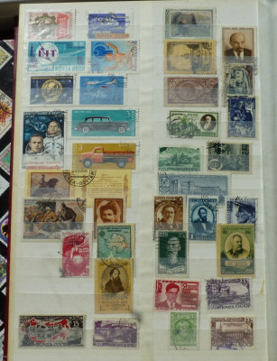 100.JPG