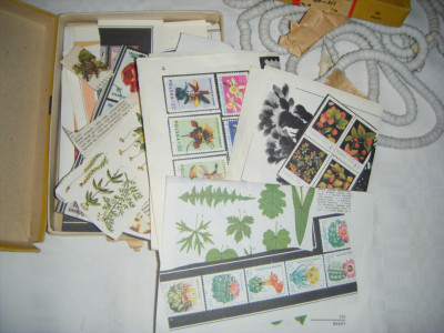 DSCF2860.JPG