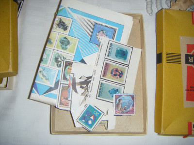 DSCF2863.JPG