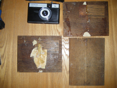 DSCF3651.JPG