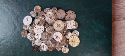 20250429_092648.jpg