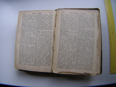 P1010907.JPG