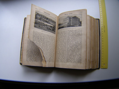 P1010909.JPG