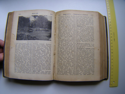 P1010912.JPG