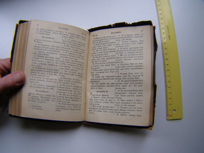P1010917.JPG