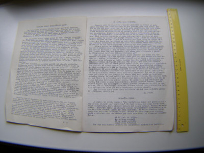 P1010932.JPG